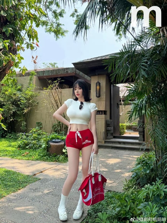 风骚律师 封面