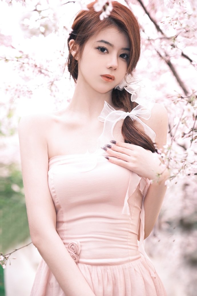 与凤行 海报