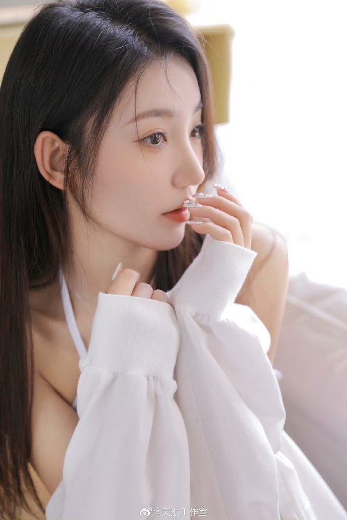 甄嬛传 封面